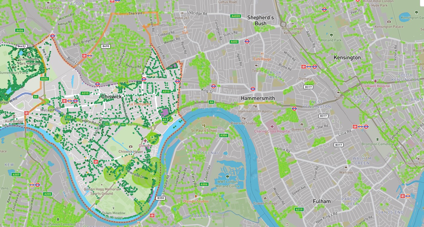 Image of the map
