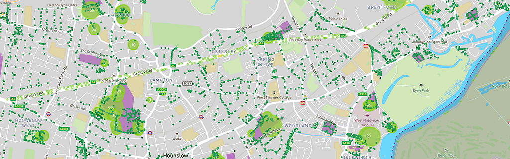 Image of the map
